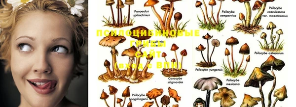 дистиллят марихуана Алзамай