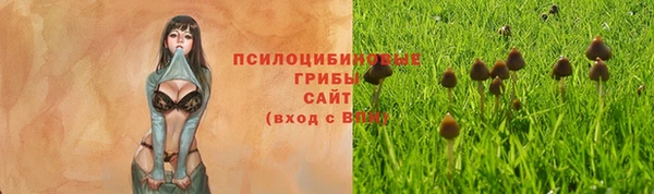 spice Алексеевка